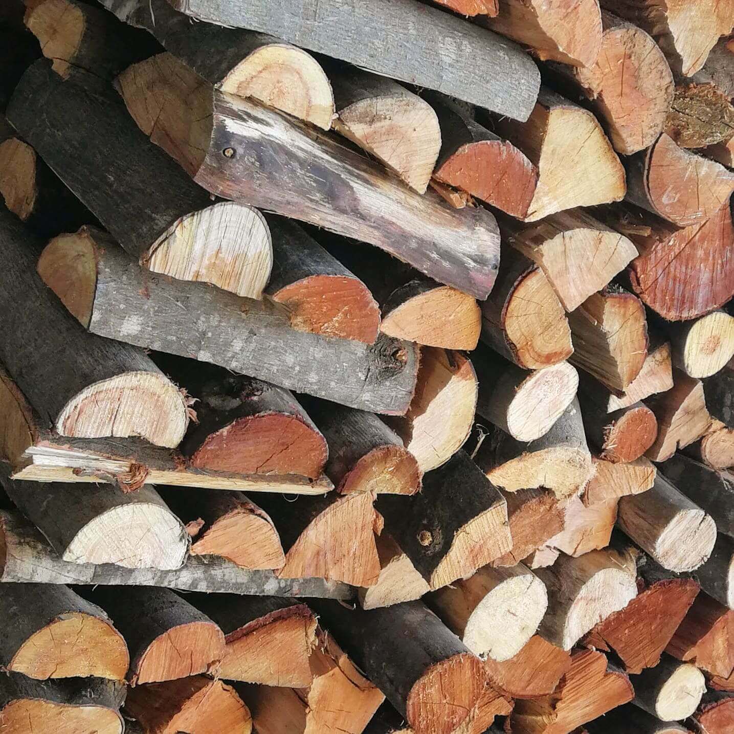 Black Wattle firewood bulk Cape Town